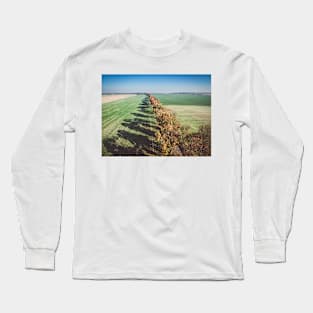 Alley of autumn trees among green fields in countryside Long Sleeve T-Shirt